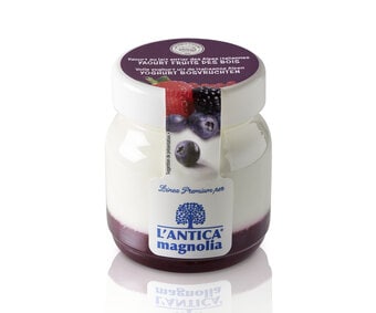 Volle yoghurt bosvruchten (Artikelnummer 07079)